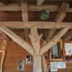 (20.07.2017) Gmina Raków. Raport Dnia: "Pyzówka" / Krzysztof Bujnowicz / Radio Kielce