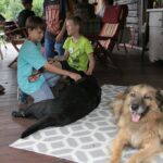 24.07.2017 - Nowa Huta koło Rakowa - Raport Dnia - Igrzycznia / Krzysztof Bujnowicz / Radio Kielce