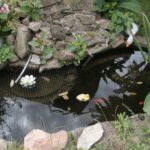 26.07.2017 - Brody - „Daleko od szosy” / Krzysztof Bujnowicz / Radio Kielce