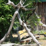 (20.07.2017) Gmina Raków. Raport Dnia: "Pyzówka" / Krzysztof Bujnowicz / Radio Kielce