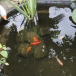 26.07.2017 - Brody - „Daleko od szosy” / Krzysztof Bujnowicz / Radio Kielce