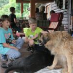 24.07.2017 - Nowa Huta koło Rakowa - Raport Dnia - Igrzycznia / Krzysztof Bujnowicz / Radio Kielce