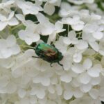 24.07.2017 - Nowa Huta koło Rakowa - Raport Dnia - Igrzycznia / Krzysztof Bujnowicz / Radio Kielce