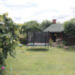 26.07.2017 - Brody - „Daleko od szosy” / Krzysztof Bujnowicz / Radio Kielce