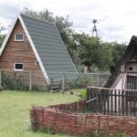 26.07.2017 - Brody - „Daleko od szosy” / Krzysztof Bujnowicz / Radio Kielce