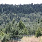 Krzysztof Bujnowicz / Radio Kielce