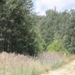 Krzysztof Bujnowicz / Radio Kielce