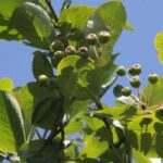 Krzysztof Bujnowicz / Radio Kielce