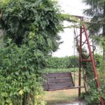 Gospodarstwo agroturystyczne "Pod Laskiem" (11.07.2017) / Krzysztof Bujnowicz / Radio Kielce