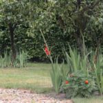 Gospodarstwo agroturystyczne "Pod Laskiem" (11.07.2017) / Krzysztof Bujnowicz / Radio Kielce