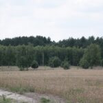 (20.07.2017) Gmina Raków. Raport Dnia: "Pyzówka" / Krzysztof Bujnowicz / Radio Kielce