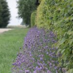 Gospodarstwo agroturystyczne "Pod Laskiem" (11.07.2017) / Krzysztof Bujnowicz / Radio Kielce