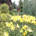 Gospodarstwo agroturystyczne "Pod Laskiem" (11.07.2017) / Krzysztof Bujnowicz / Radio Kielce