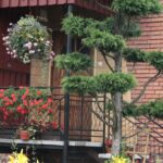 Gospodarstwo agroturystyczne "Pod Laskiem" (11.07.2017) / Krzysztof Bujnowicz / Radio Kielce