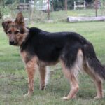 27.07.2017 - Święta Katarzyna - Zacisze - Raport Dnia / Krzysztof Bujnowicz / Radio Kielce