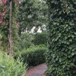 Gospodarstwo agroturystyczne "Pod Laskiem" (11.07.2017) / Krzysztof Bujnowicz / Radio Kielce