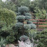 Gospodarstwo agroturystyczne "Pod Laskiem" (11.07.2017) / Krzysztof Bujnowicz / Radio Kielce