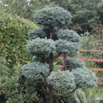 Gospodarstwo agroturystyczne "Pod Laskiem" (11.07.2017) / Krzysztof Bujnowicz / Radio Kielce