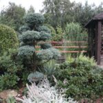 Gospodarstwo agroturystyczne "Pod Laskiem" (11.07.2017) / Krzysztof Bujnowicz / Radio Kielce