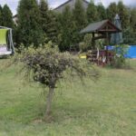 26.07.2017 - Brody - „Daleko od szosy” / Krzysztof Bujnowicz / Radio Kielce