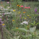 27.07.2017 - Święta Katarzyna - Zacisze - Raport Dnia / Krzysztof Bujnowicz / Radio Kielce