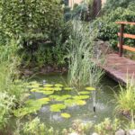 Gospodarstwo agroturystyczne "Pod Laskiem" (11.07.2017) / Krzysztof Bujnowicz / Radio Kielce