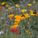 27.07.2017 - Święta Katarzyna - Zacisze - Raport Dnia / Krzysztof Bujnowicz / Radio Kielce