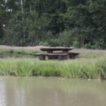 27.07.2017 - Święta Katarzyna - Zacisze - Raport Dnia / Krzysztof Bujnowicz / Radio Kielce