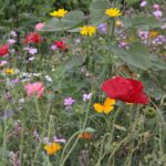 27.07.2017 - Święta Katarzyna - Zacisze - Raport Dnia / Krzysztof Bujnowicz / Radio Kielce