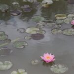 27.07.2017 - Święta Katarzyna - Zacisze - Raport Dnia / Krzysztof Bujnowicz / Radio Kielce