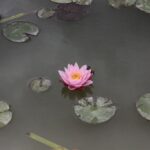 27.07.2017 - Święta Katarzyna - Zacisze - Raport Dnia / Krzysztof Bujnowicz / Radio Kielce