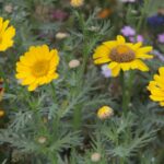 27.07.2017 - Święta Katarzyna - Zacisze - Raport Dnia / Krzysztof Bujnowicz / Radio Kielce