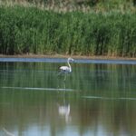 29.07.2017 - Muzyczne Podróże Przez Świat - Korfu / Jarosław Sułek