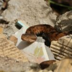 29.07.2017 - Muzyczne Podróże Przez Świat - Korfu / Jarosław Sułek