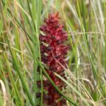 29.07.2017 - Muzyczne Podróże Przez Świat - Korfu / Jarosław Sułek