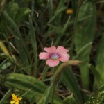 29.07.2017 - Muzyczne Podróże Przez Świat - Korfu / Jarosław Sułek