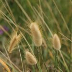 29.07.2017 - Muzyczne Podróże Przez Świat - Korfu / Jarosław Sułek