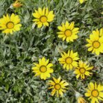 29.07.2017 - Muzyczne Podróże Przez Świat - Korfu / Jarosław Sułek