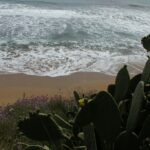 29.07.2017 - Muzyczne Podróże Przez Świat - Korfu / Jarosław Sułek