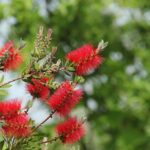 29.07.2017 - Muzyczne Podróże Przez Świat - Korfu / Jarosław Sułek