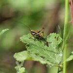 29.07.2017 - Muzyczne Podróże Przez Świat - Korfu / Jarosław Sułek