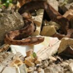 29.07.2017 - Muzyczne Podróże Przez Świat - Korfu / Jarosław Sułek