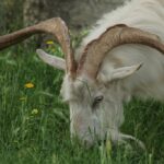 29.07.2017 - Muzyczne Podróże Przez Świat - Korfu / Jarosław Sułek