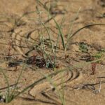 29.07.2017 - Muzyczne Podróże Przez Świat - Korfu / Jarosław Sułek