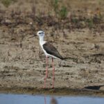 29.07.2017 - Muzyczne Podróże Przez Świat - Korfu / Jarosław Sułek