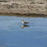 29.07.2017 - Muzyczne Podróże Przez Świat - Korfu / Jarosław Sułek