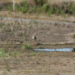29.07.2017 - Muzyczne Podróże Przez Świat - Korfu / Jarosław Sułek