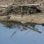 29.07.2017 - Muzyczne Podróże Przez Świat - Korfu / Jarosław Sułek