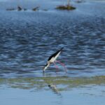 29.07.2017 - Muzyczne Podróże Przez Świat - Korfu / Jarosław Sułek