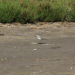 29.07.2017 - Muzyczne Podróże Przez Świat - Korfu / Jarosław Sułek